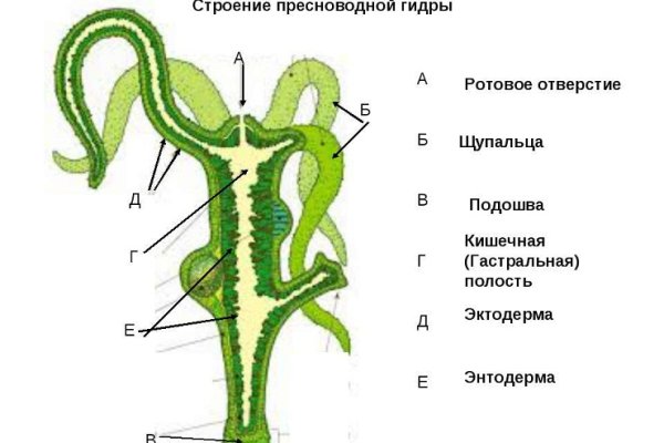 Вывести деньги с кракена