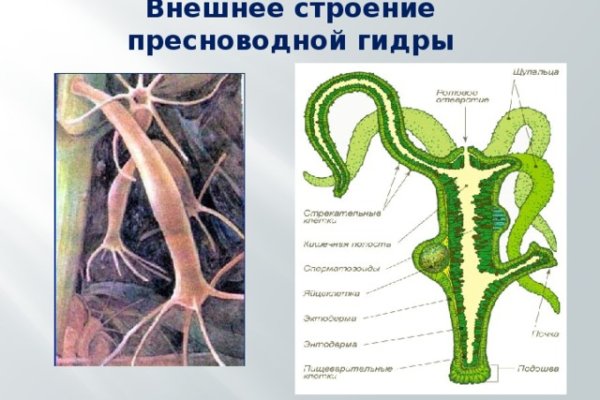 Кракен даркнет тор