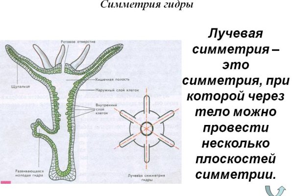 Ссылка адрес на кракен тор